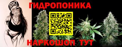 стаф Камышлов