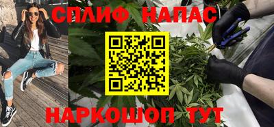 стаф Камышлов