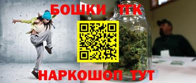 стаф Камышлов