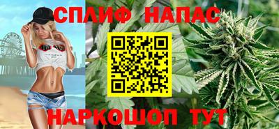 индика Кандалакша