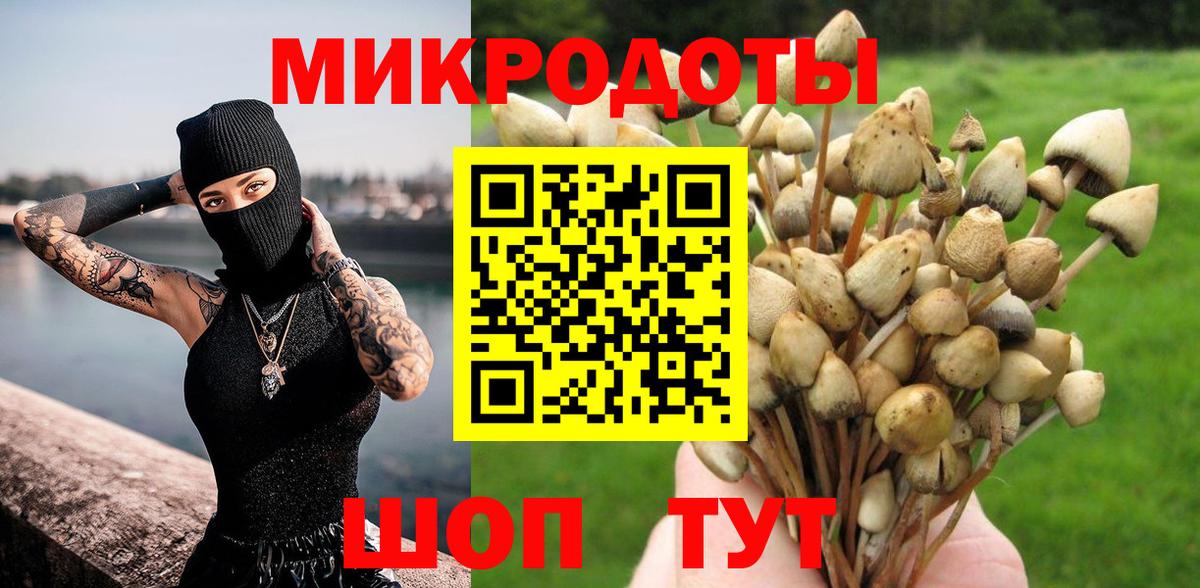 Галлюциногенные грибы ЛСД Новоалександровск