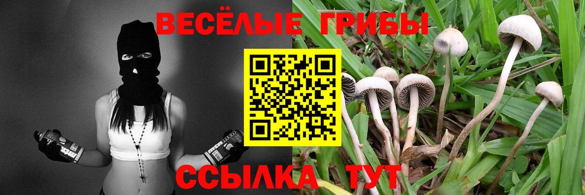 купить   Вход с VPN  Новоалександровск  Псилоцибиновые грибы прущие грибы 
